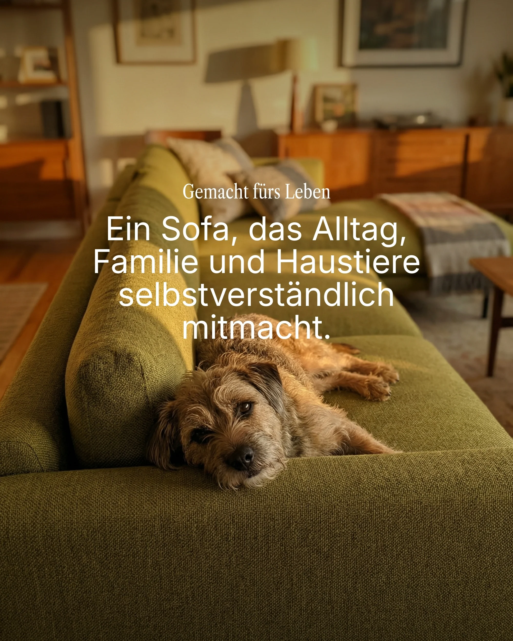 Modulares Sofa Aera 2-Sitzer - Image 4